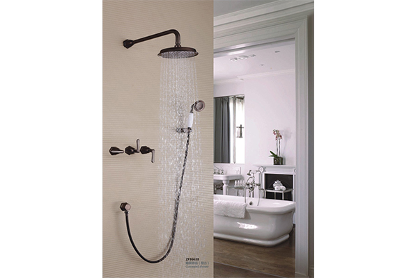 ZF36638 Concealed shower