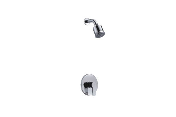 ZF46617 Concealed shower