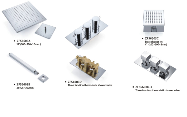 ZF56603 Concealed shower mixer